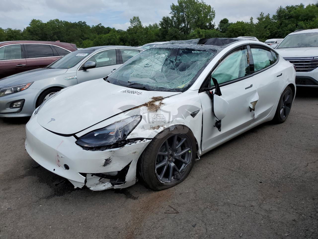 Tesla Model 3 2022