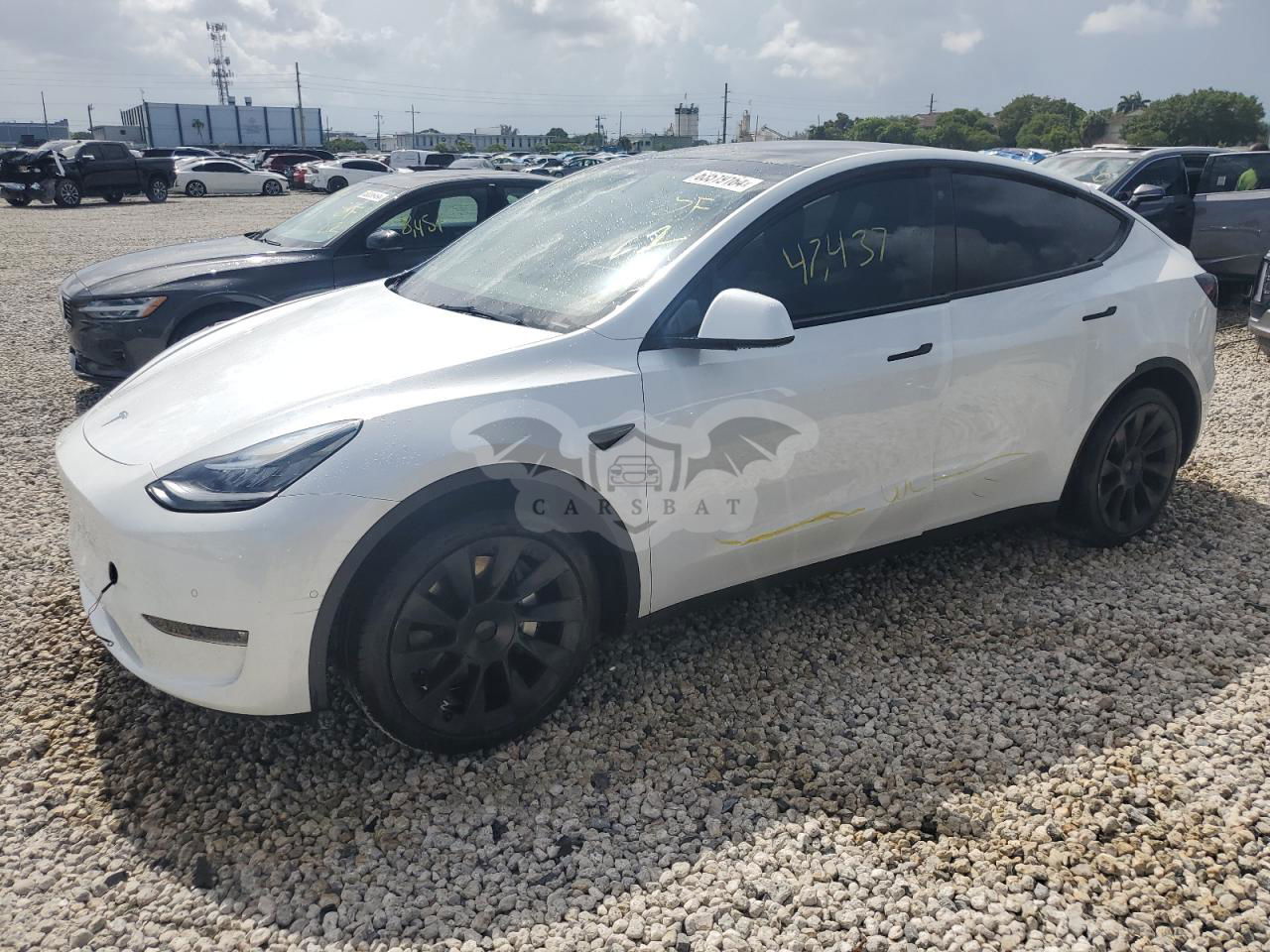 Tesla Model Y 2021