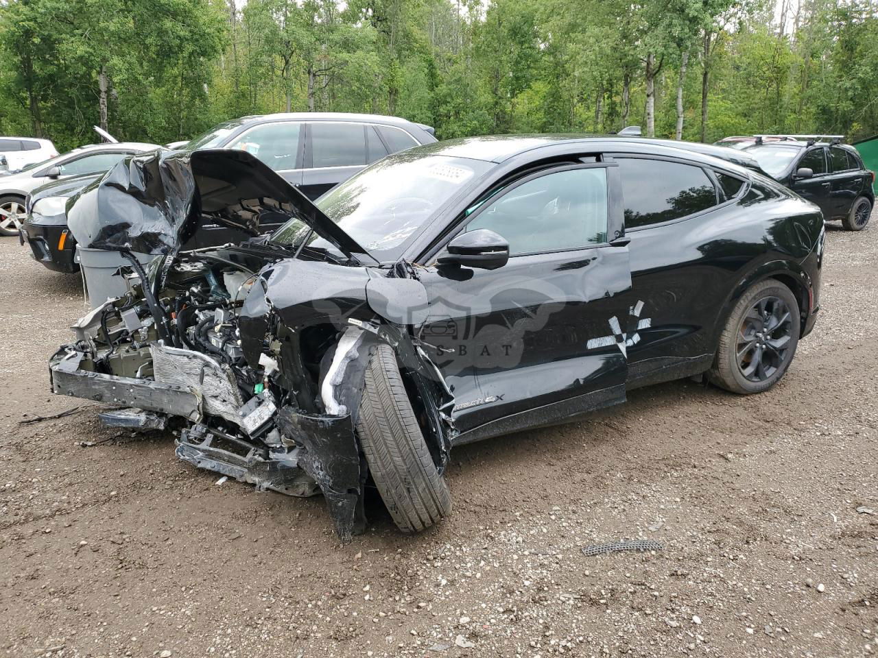 Ford Mustang Mach-E PREMIUM 2023