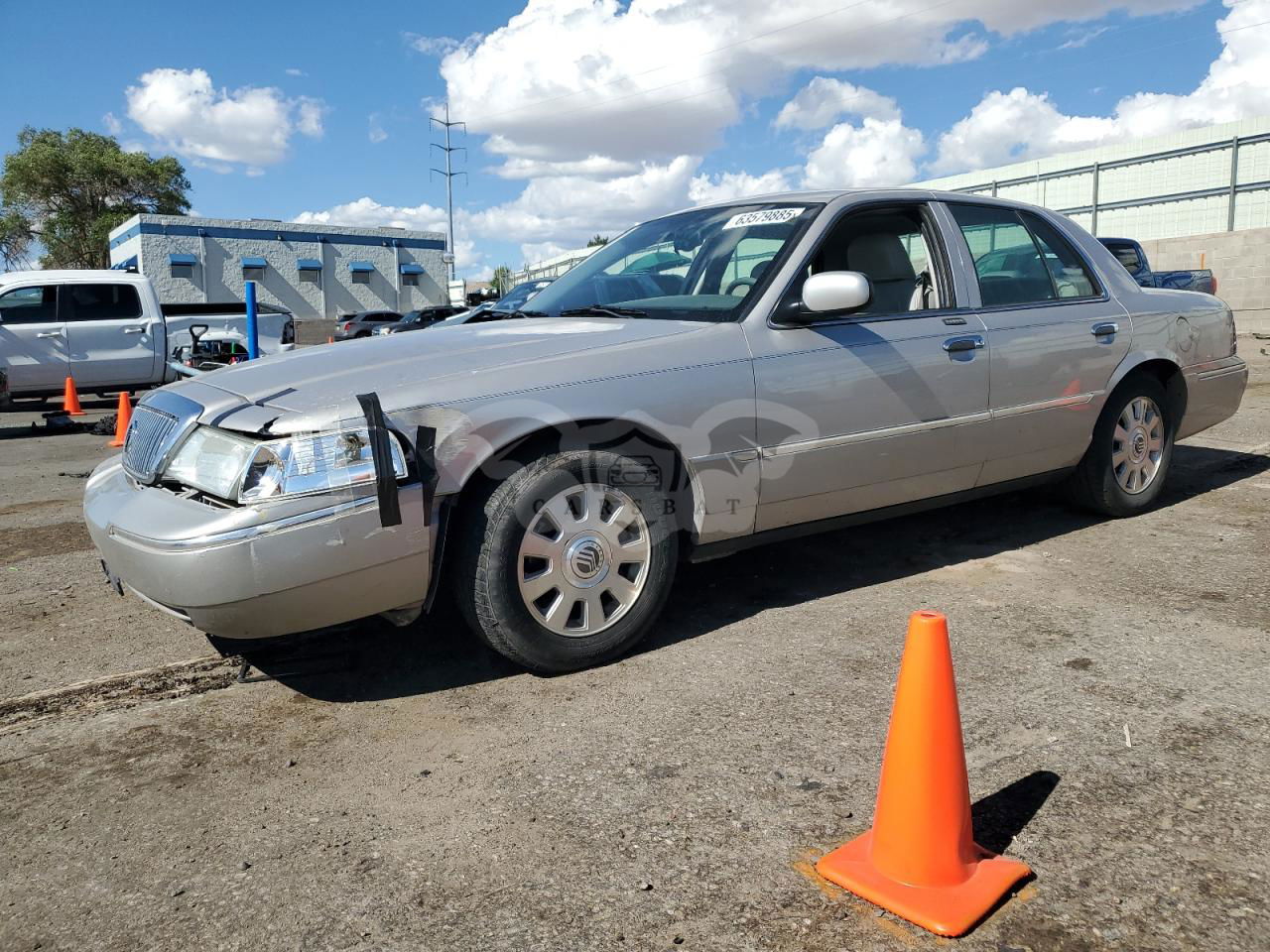 Mercury Grand Marquis LS 4.6L  8 2004