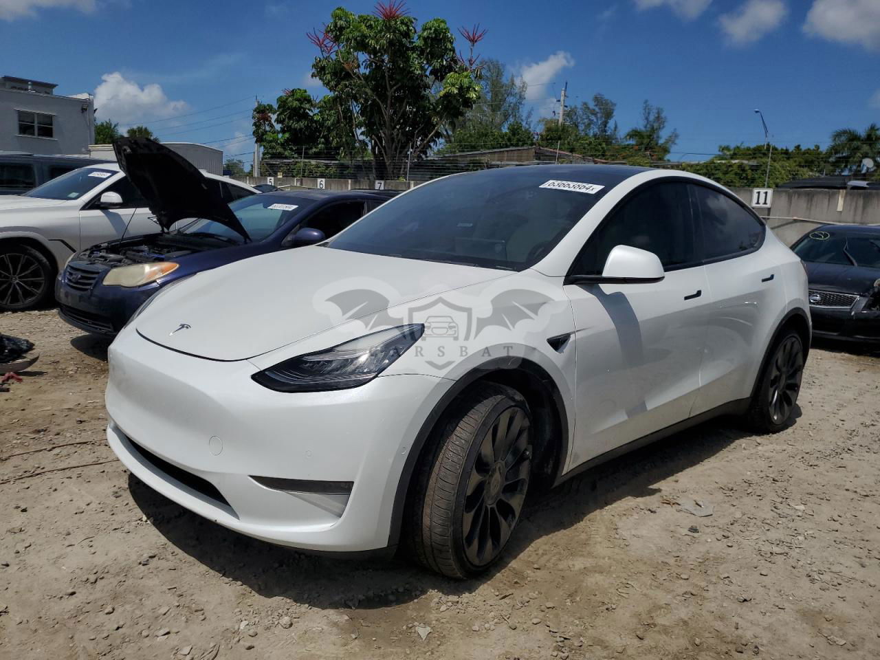 Tesla Model Y 2020