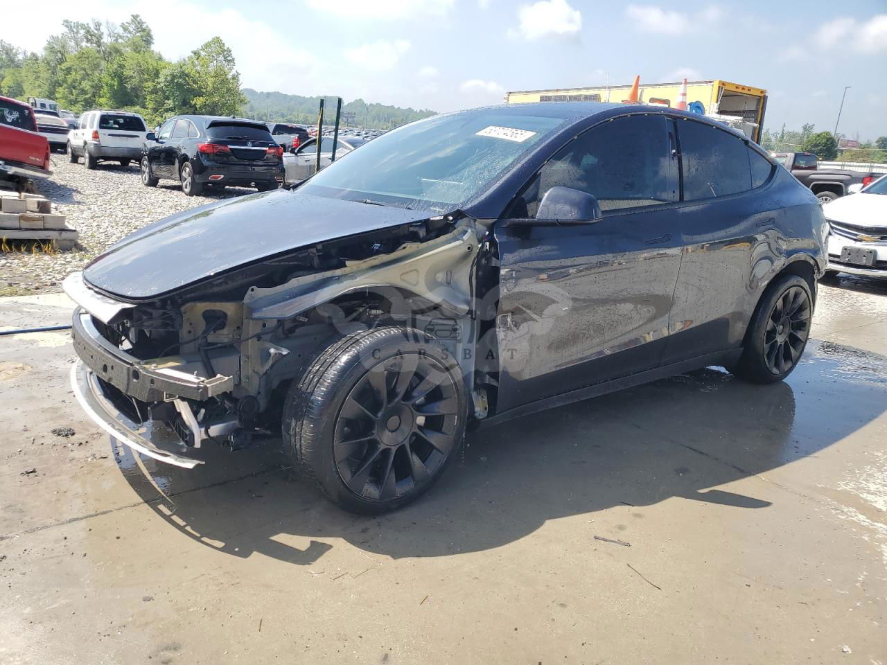 Tesla Model Y 2024