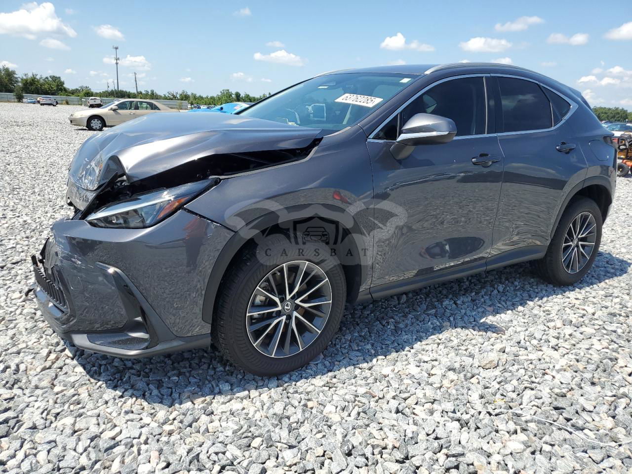 Lexus NX 250 2.5L  4 2023