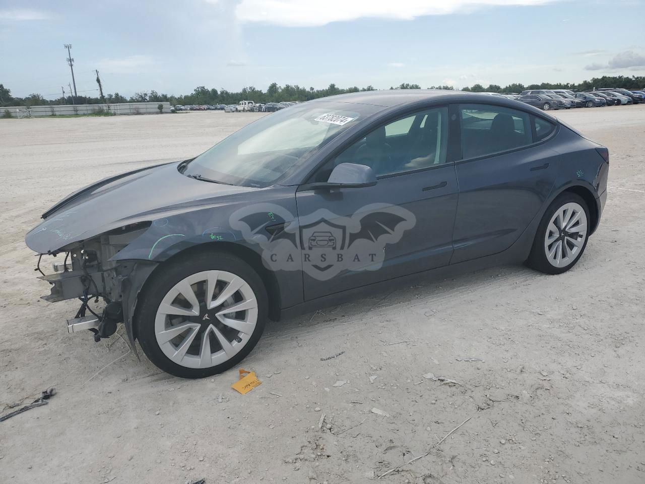 Tesla Model 3 2021