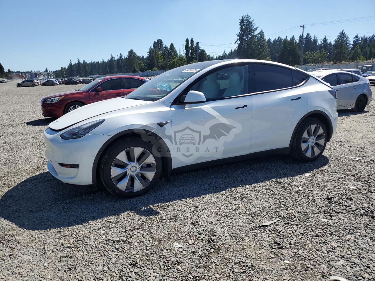 Tesla Model Y 2022