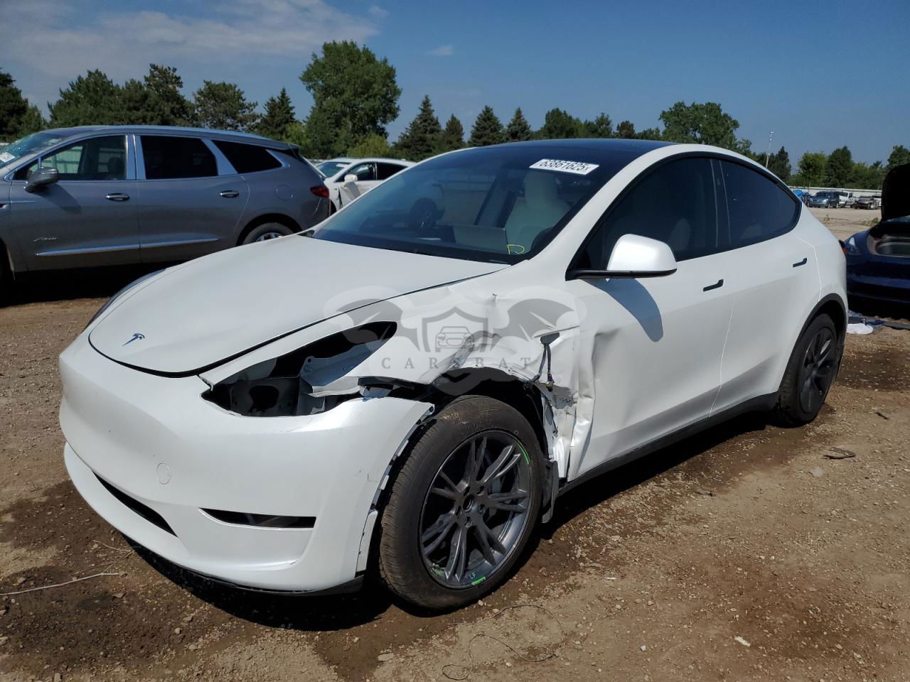 Tesla Model Y 2024