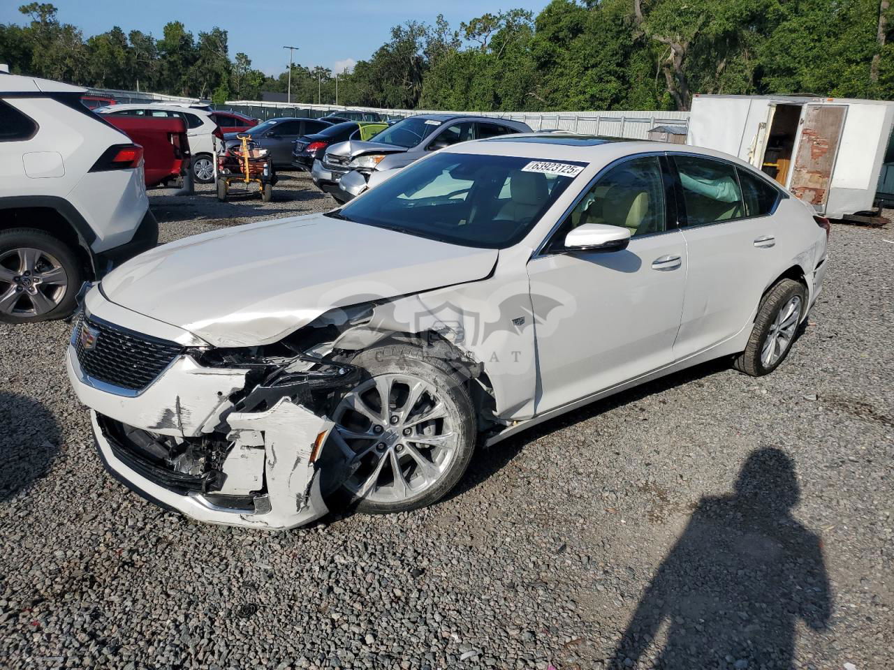Cadillac CT5 PREMIUM LUXURY 3.0L  6 2023