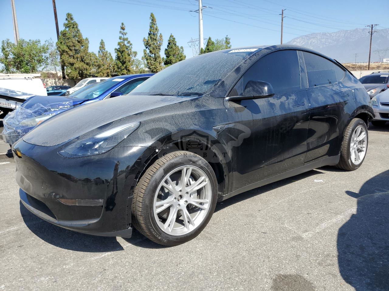 Tesla Model Y 2024