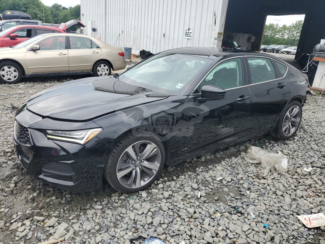 Acura TLX ADVANCE 2.0L  4 2023