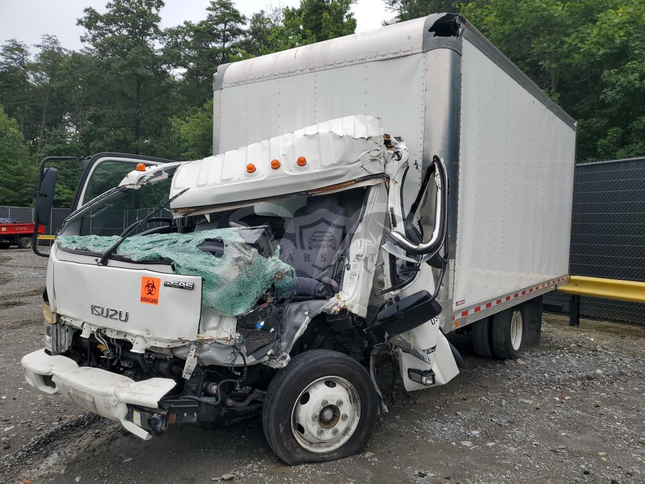 Isuzu NPR 6.6L  8 2023