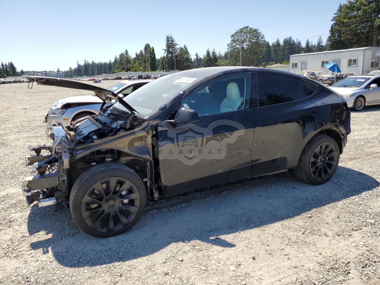 Tesla Model Y 2024