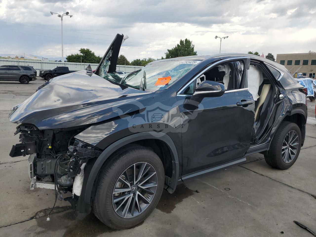 Lexus NX 250 2.5L  4 2023