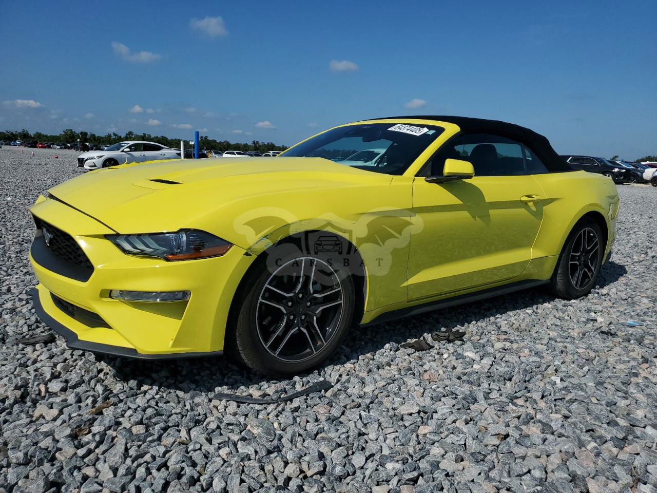 Ford Mustang 2.3L  4 2021