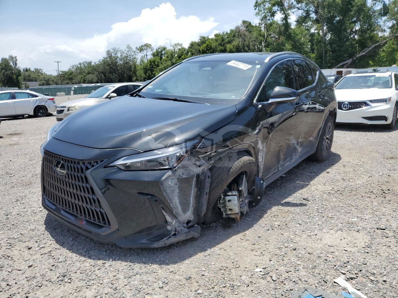 Lexus NX 350H BASE 2.5L  4 2024