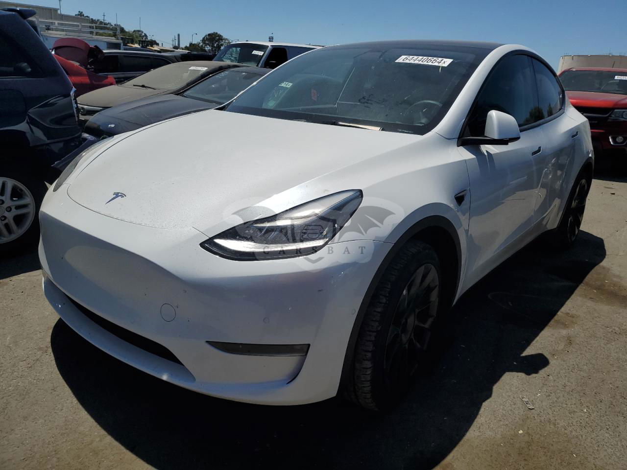 Tesla Model Y 2021