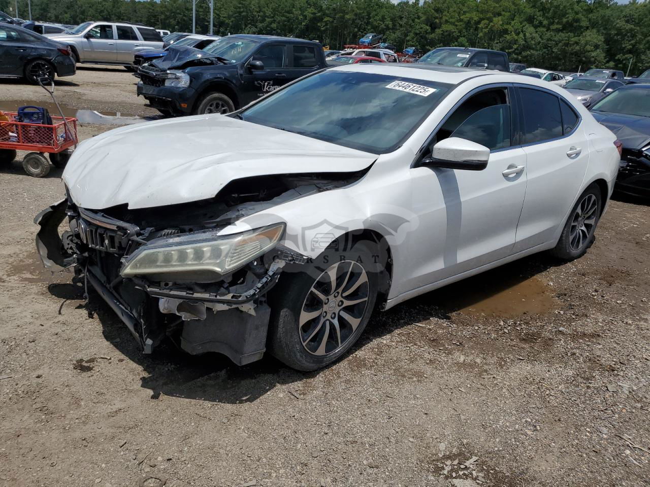 Acura TLX TECH 2.4L  4 2016