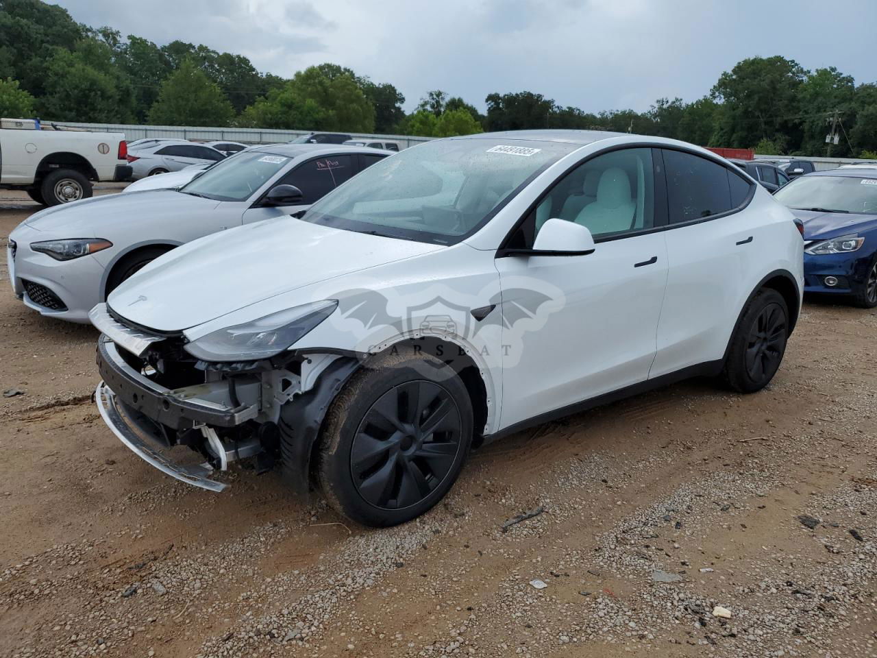 Tesla Model Y 2024