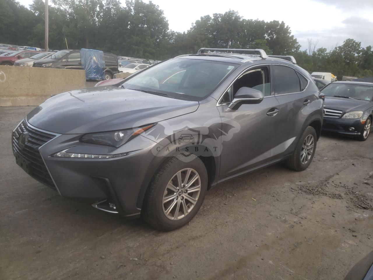 Lexus NX 2020
