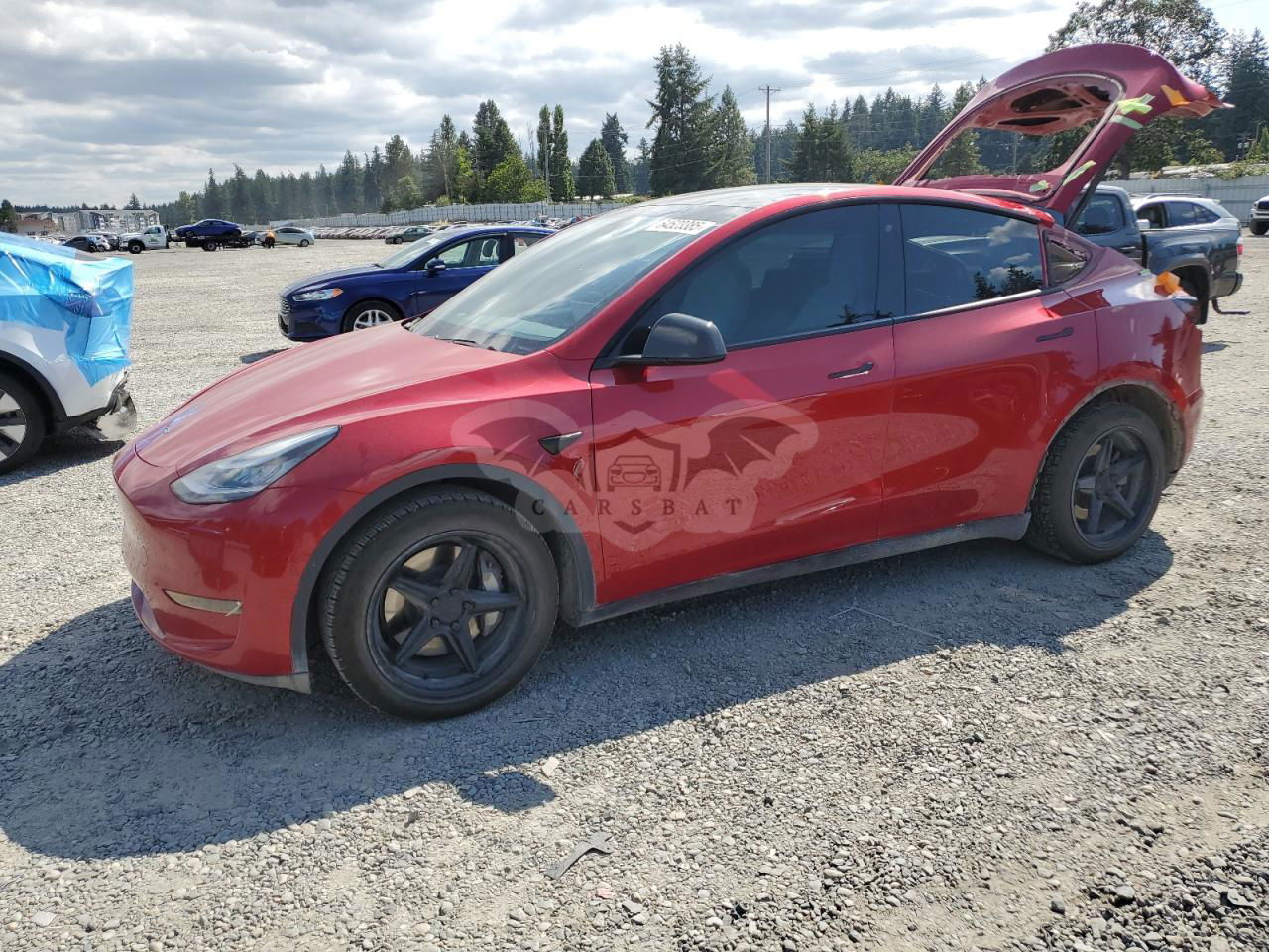 Tesla Model Y 2020
