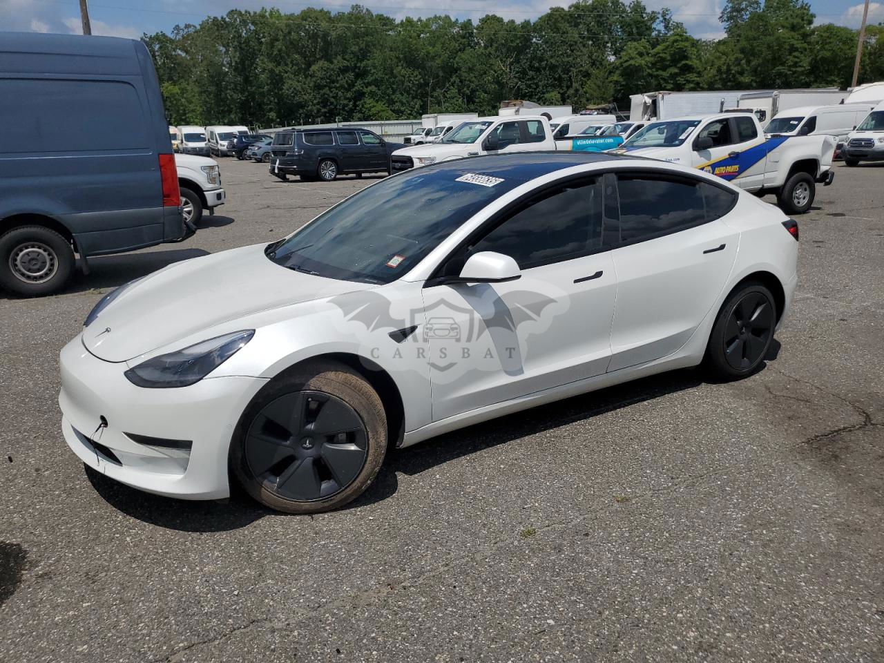 Tesla Model 3 2021