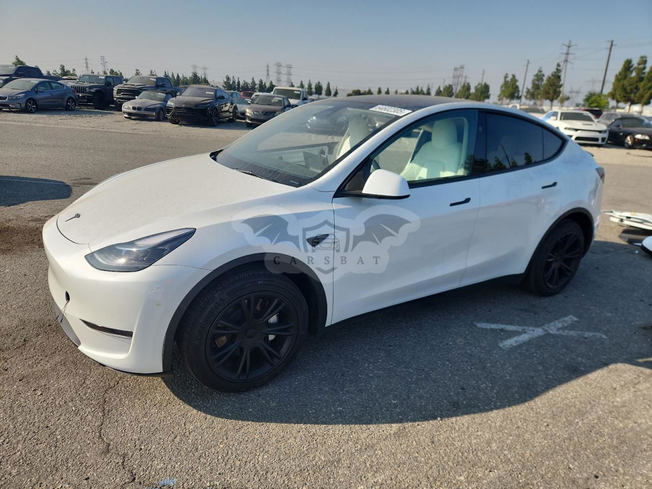 Tesla Model Y 2024
