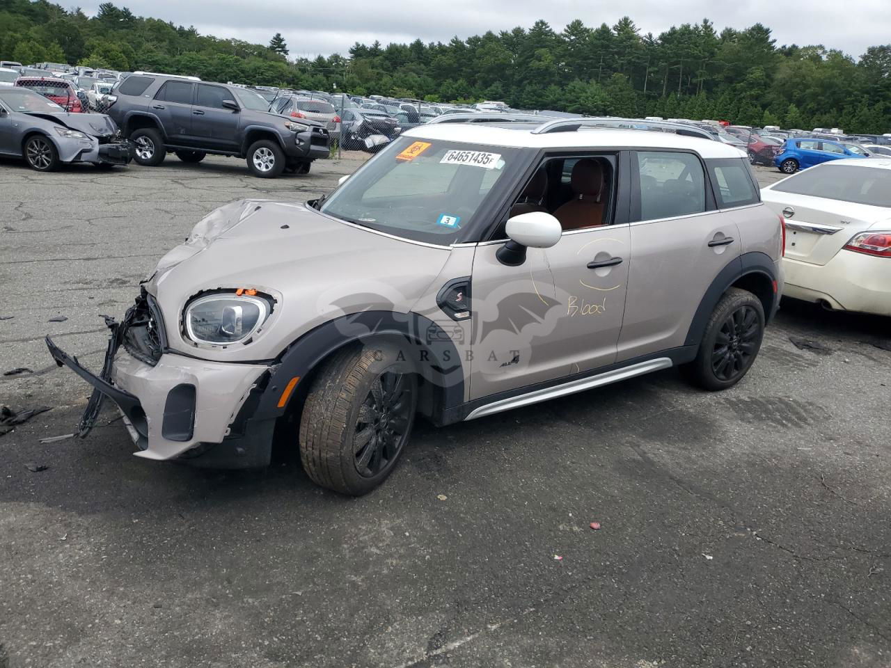 Mini Cooper S COUNTRYMAN ALL4 2.0L  4 2023