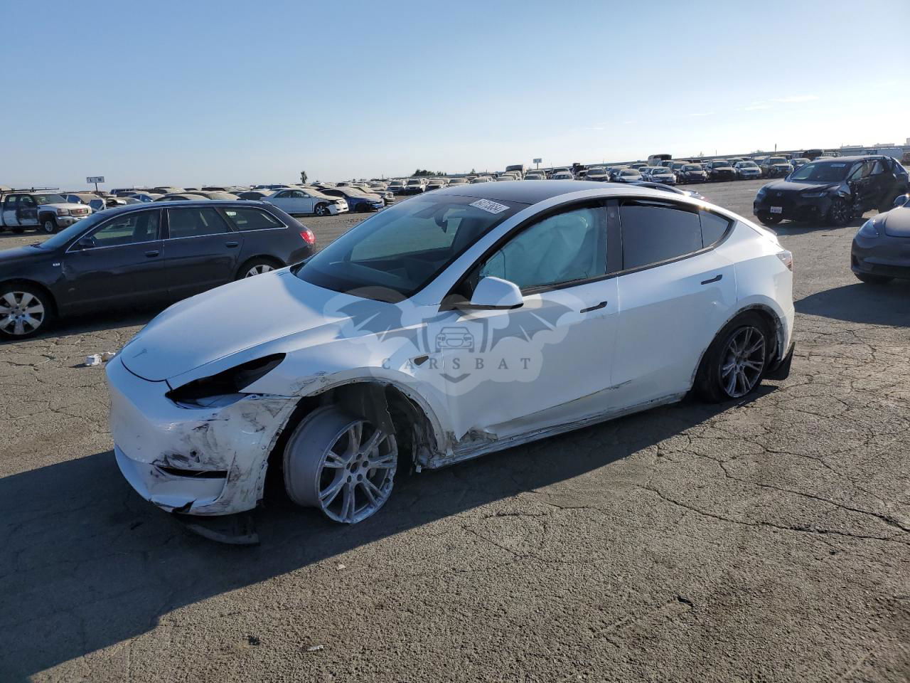 Tesla Model Y 2021