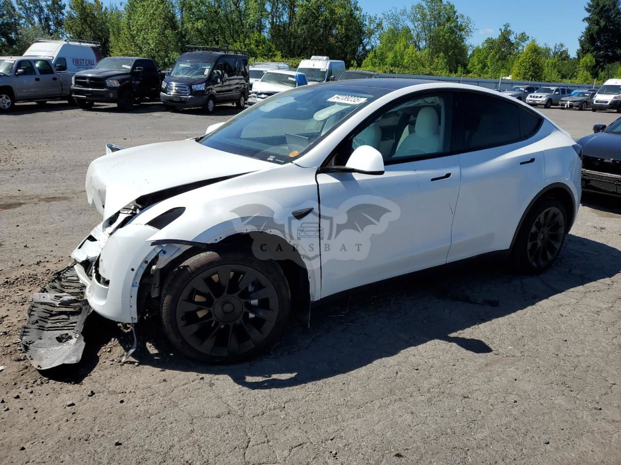 Tesla Model Y 2021