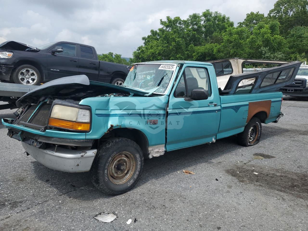 Ford F-150 4.9L  6 1995