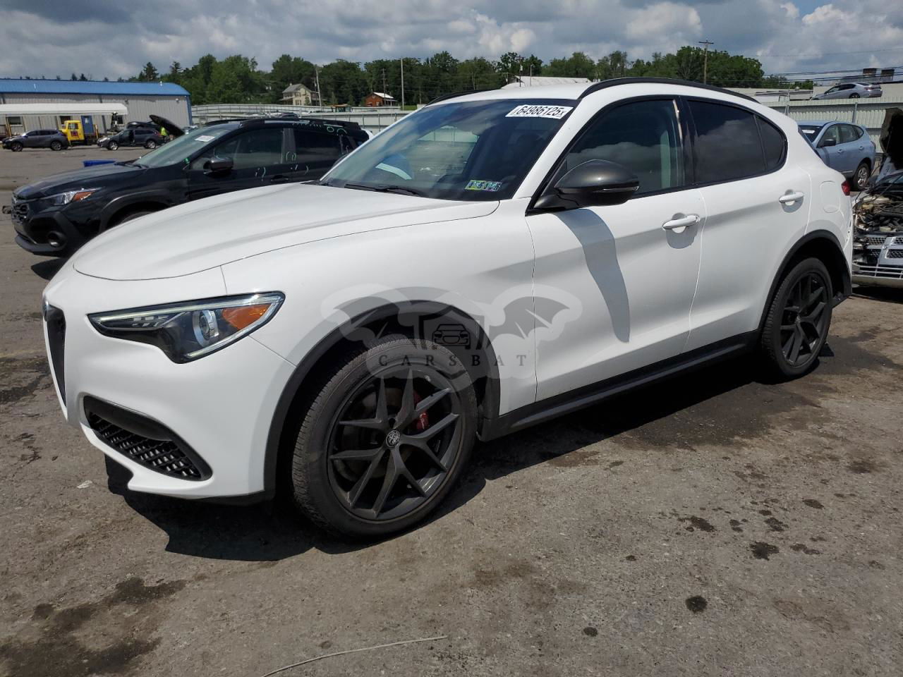 Alfa Romeo Stelvio 2.0L  4 2019