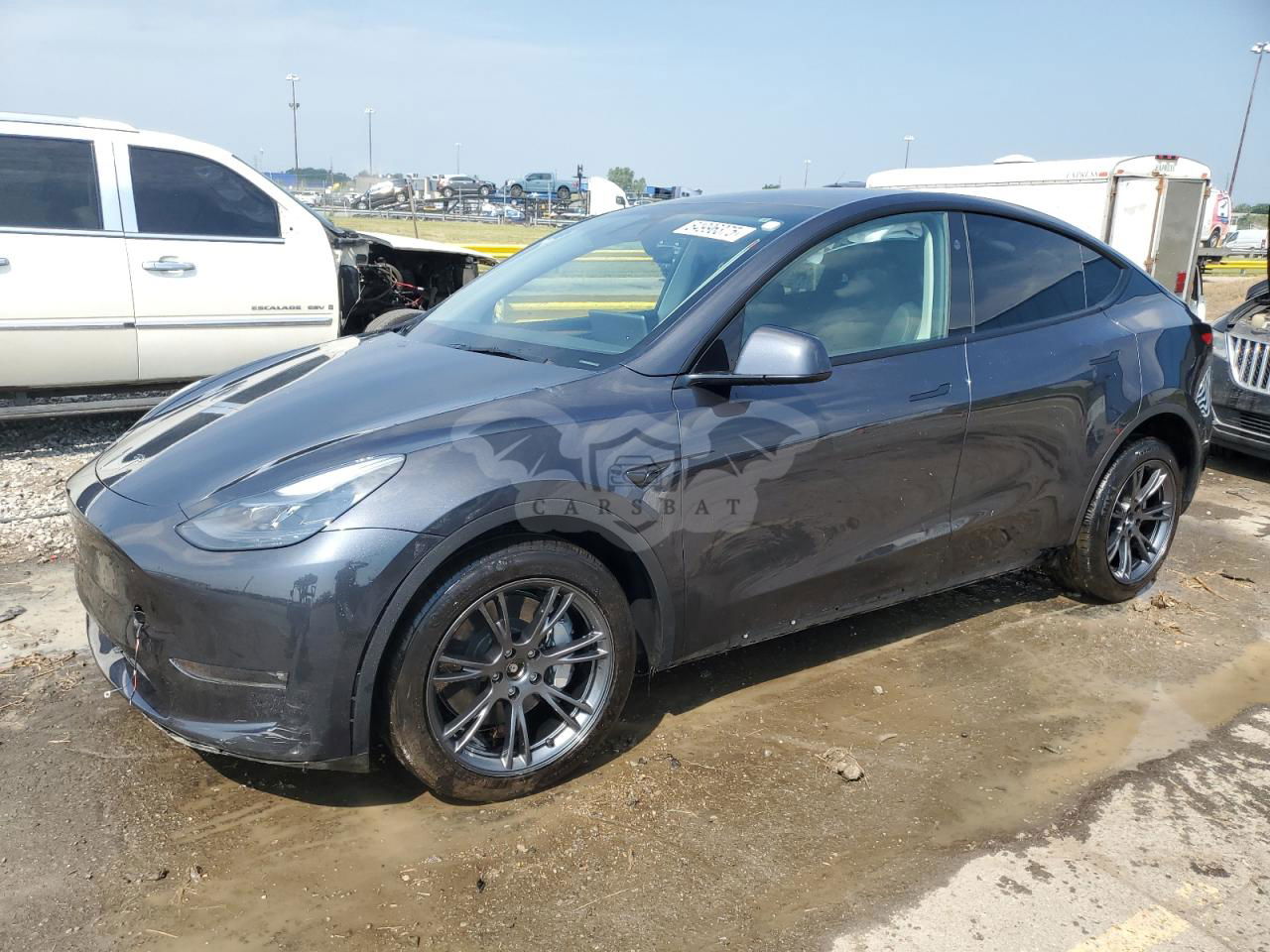 Tesla Model Y 2024
