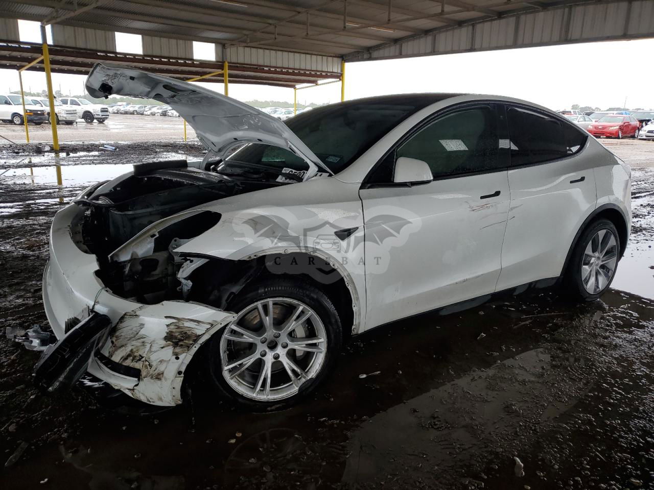 Tesla Model Y 2021