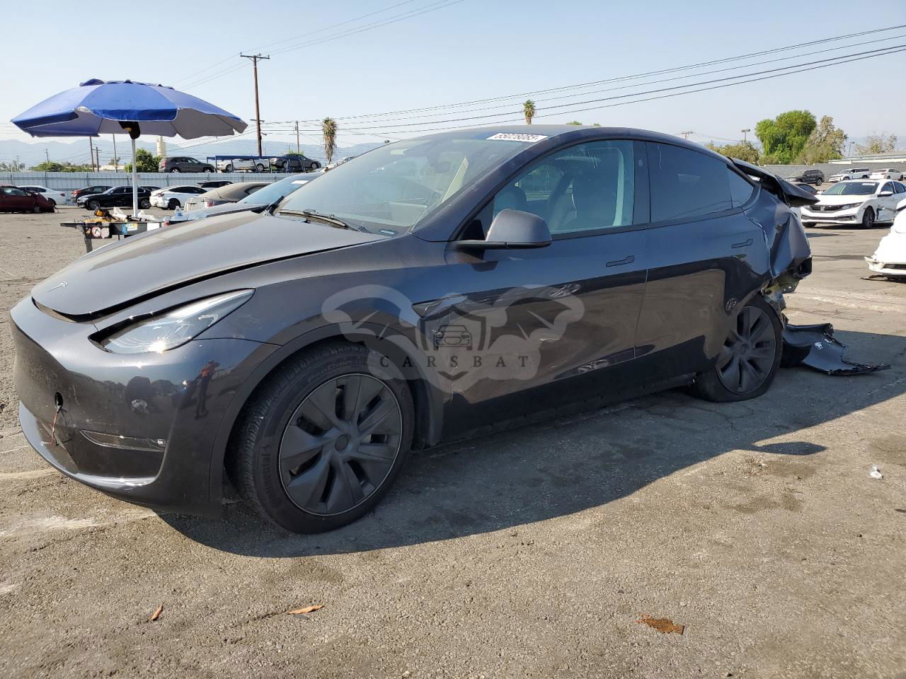 Tesla Model Y 2024
