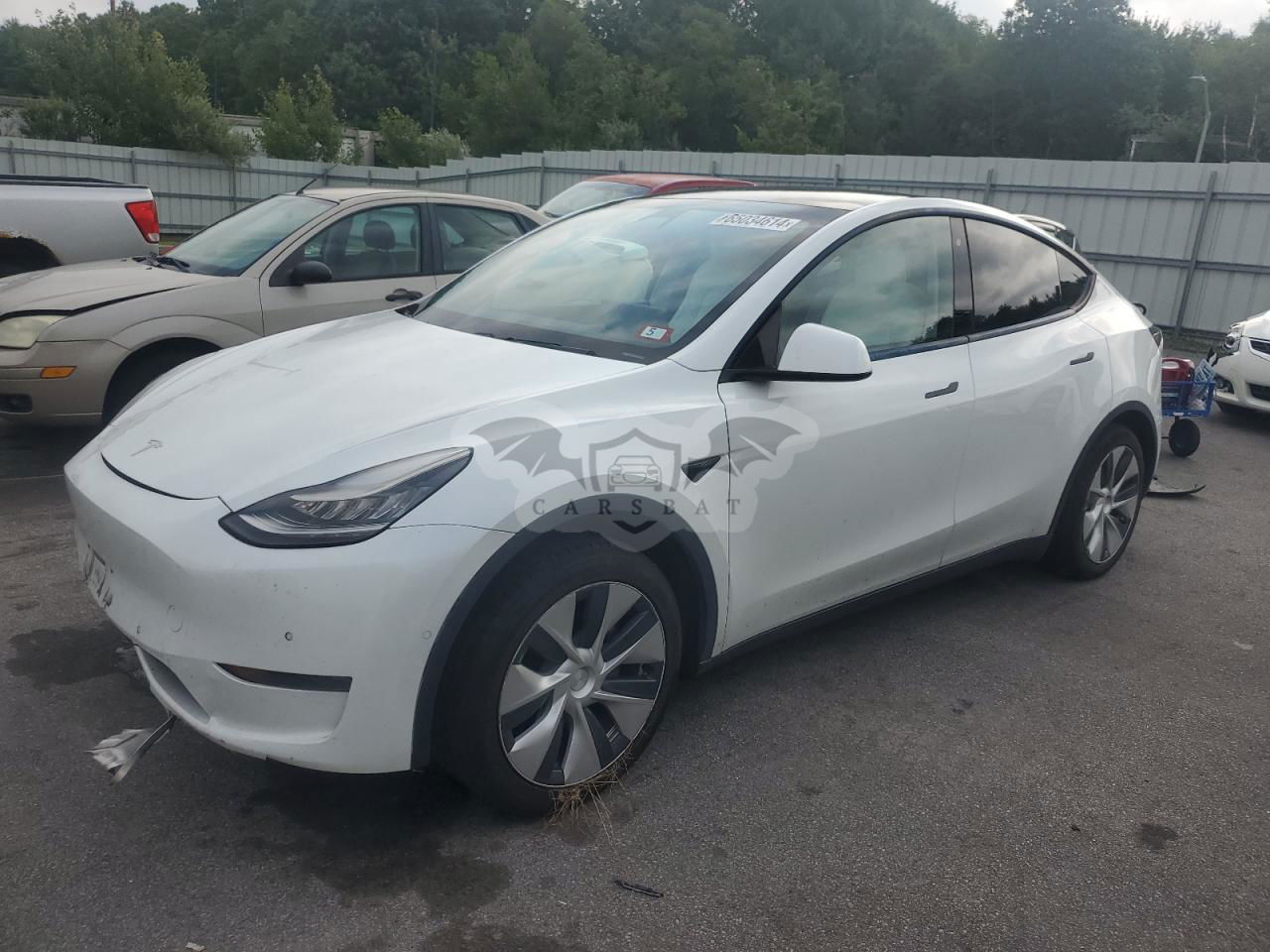 Tesla Model Y 2020