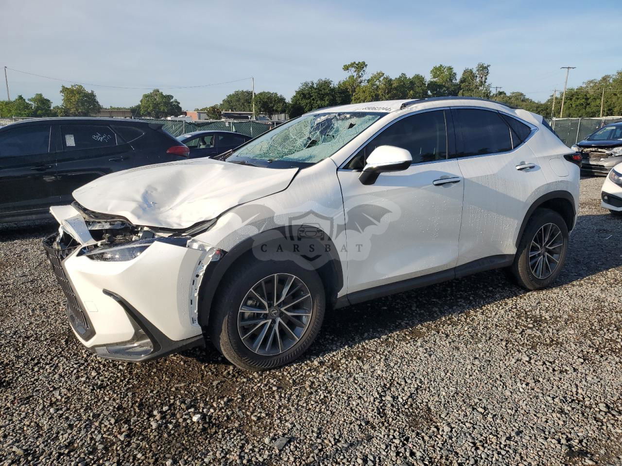 Lexus NX 250 BASE 2.5L  4 2024