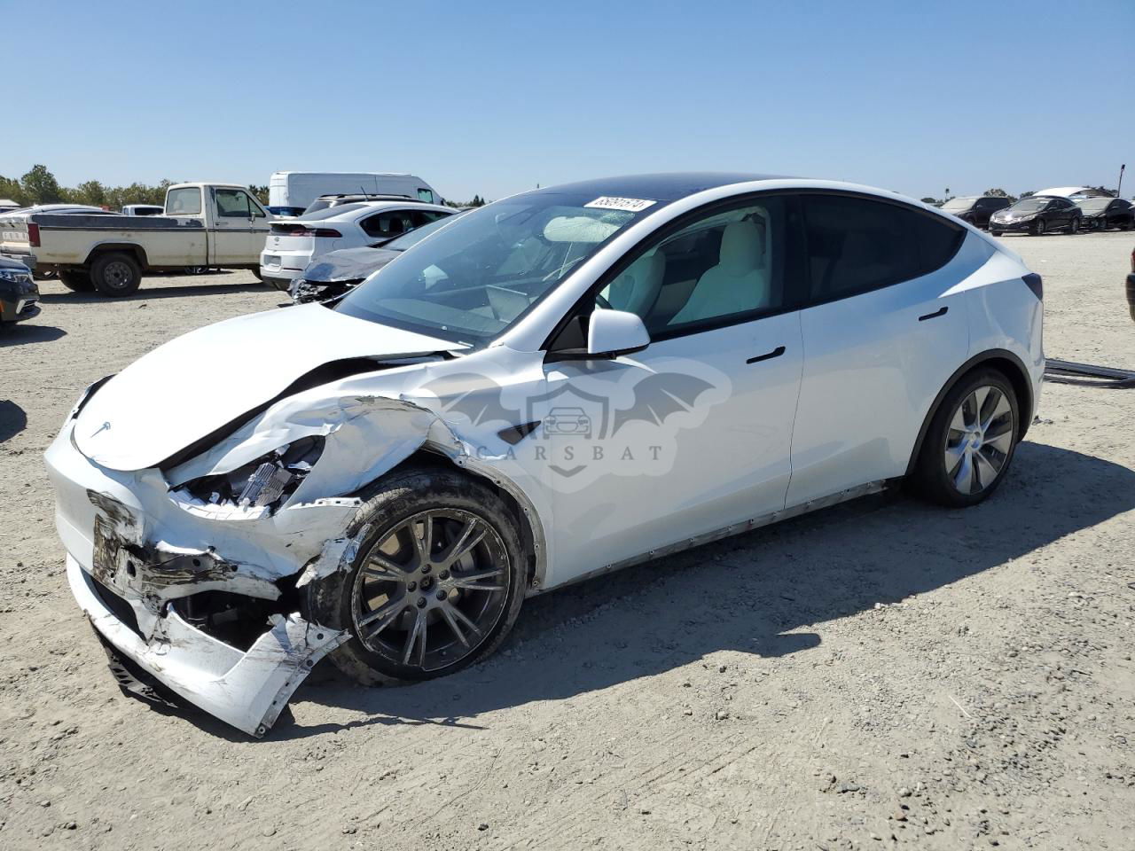 Tesla Model Y 2021