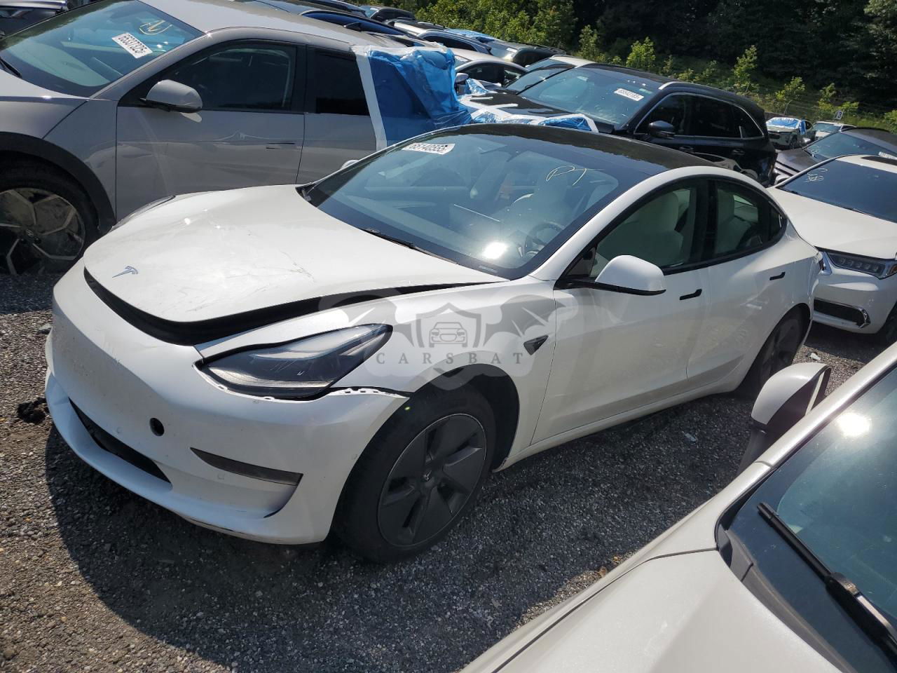 Tesla Model 3 2022
