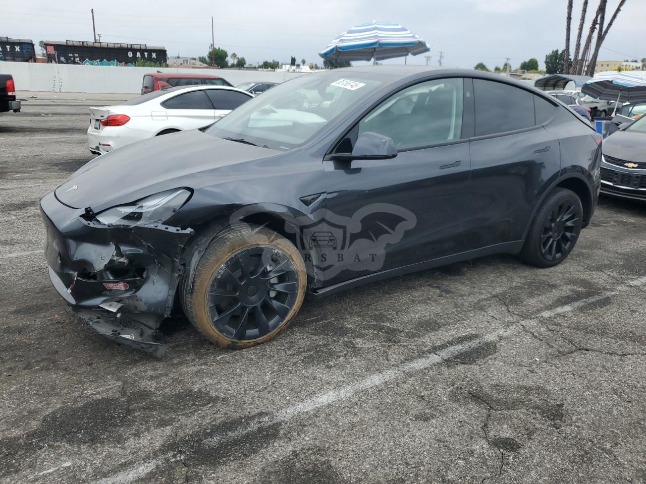 Tesla Model Y 2024