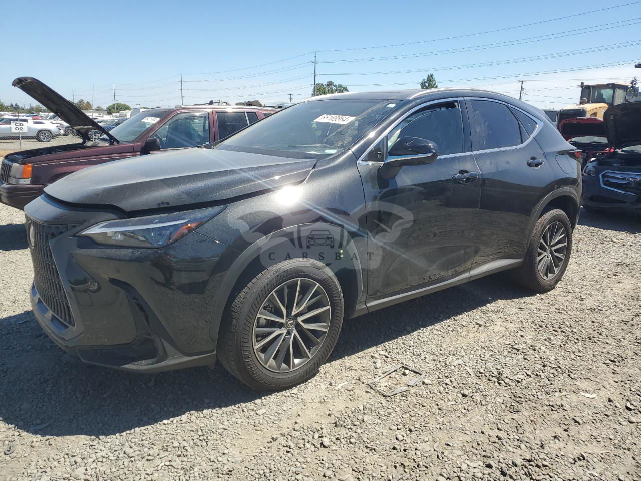 Lexus NX 2.5L  4 2024