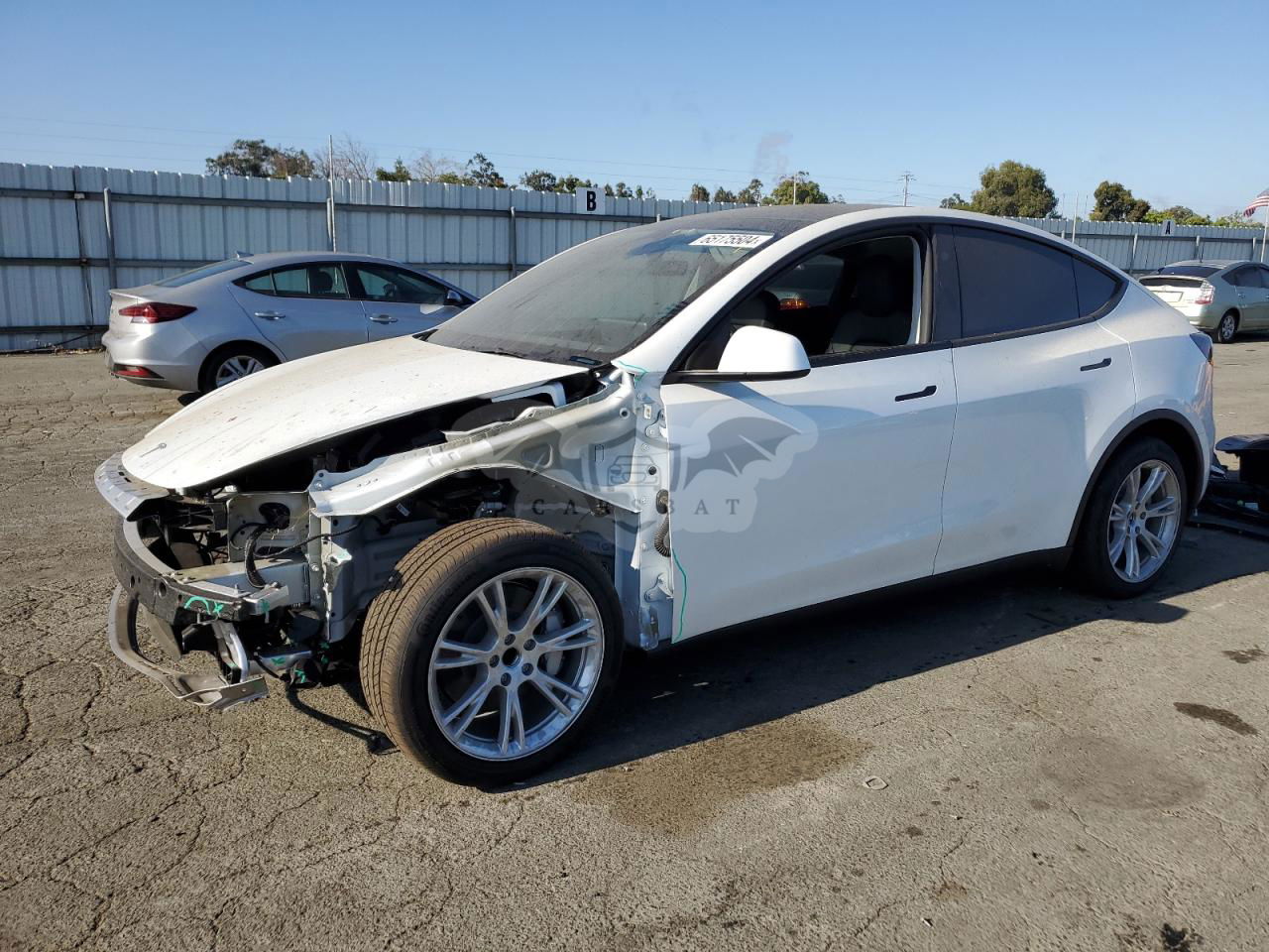 Tesla Model Y 2024