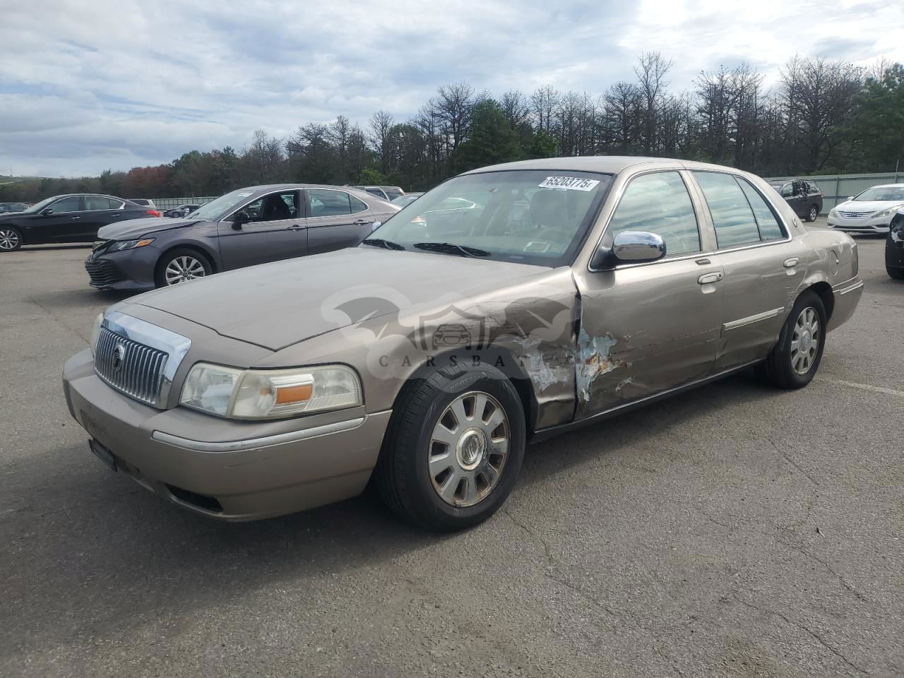 Mercury Grand Marquis LS 4.6L  8 2006