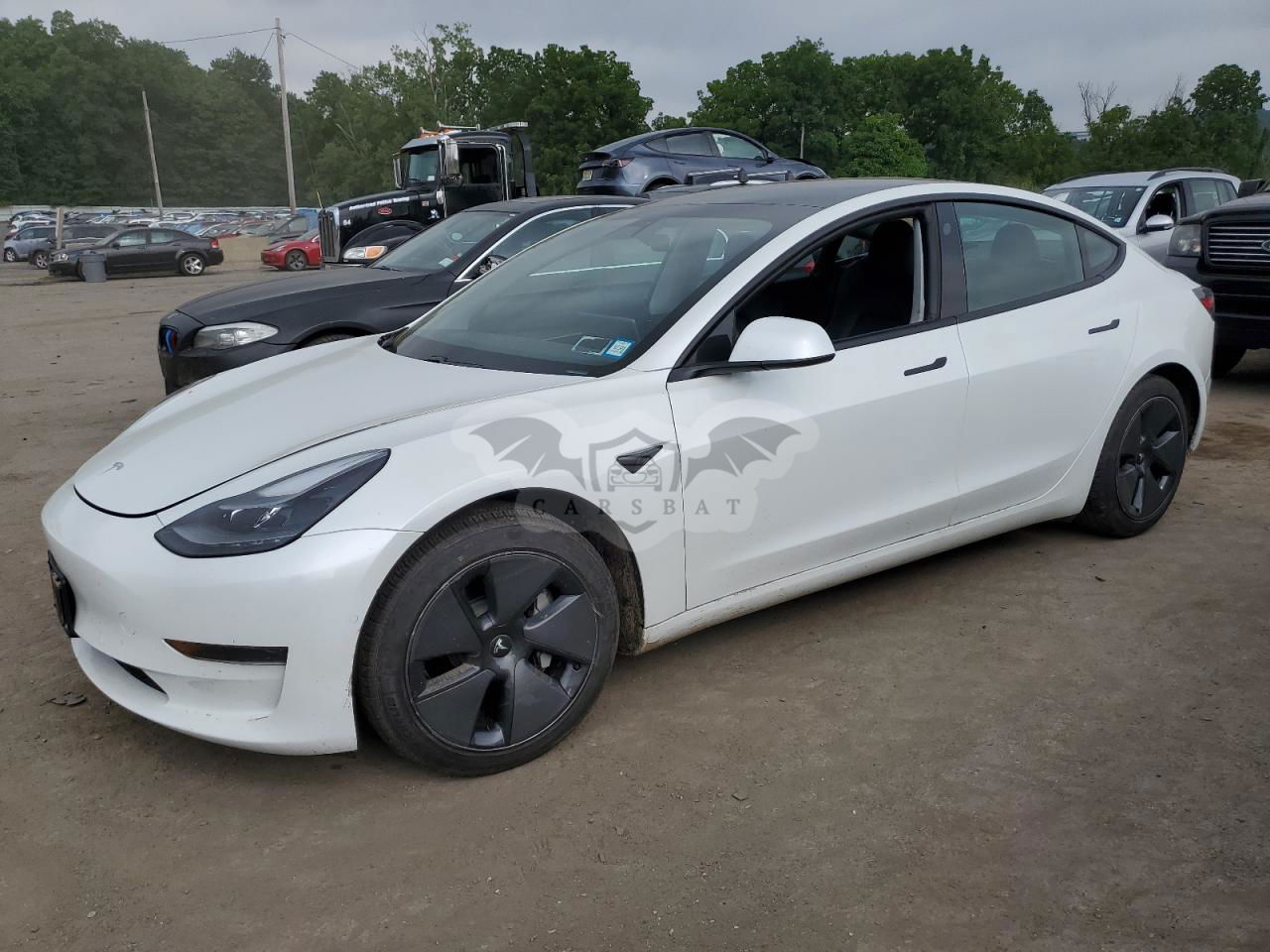 Tesla Model 3 2021