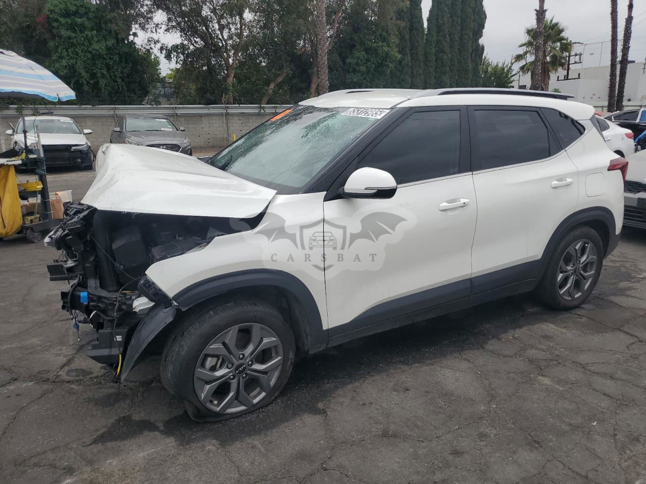 Kia Seltos S 2.0L  4 2024