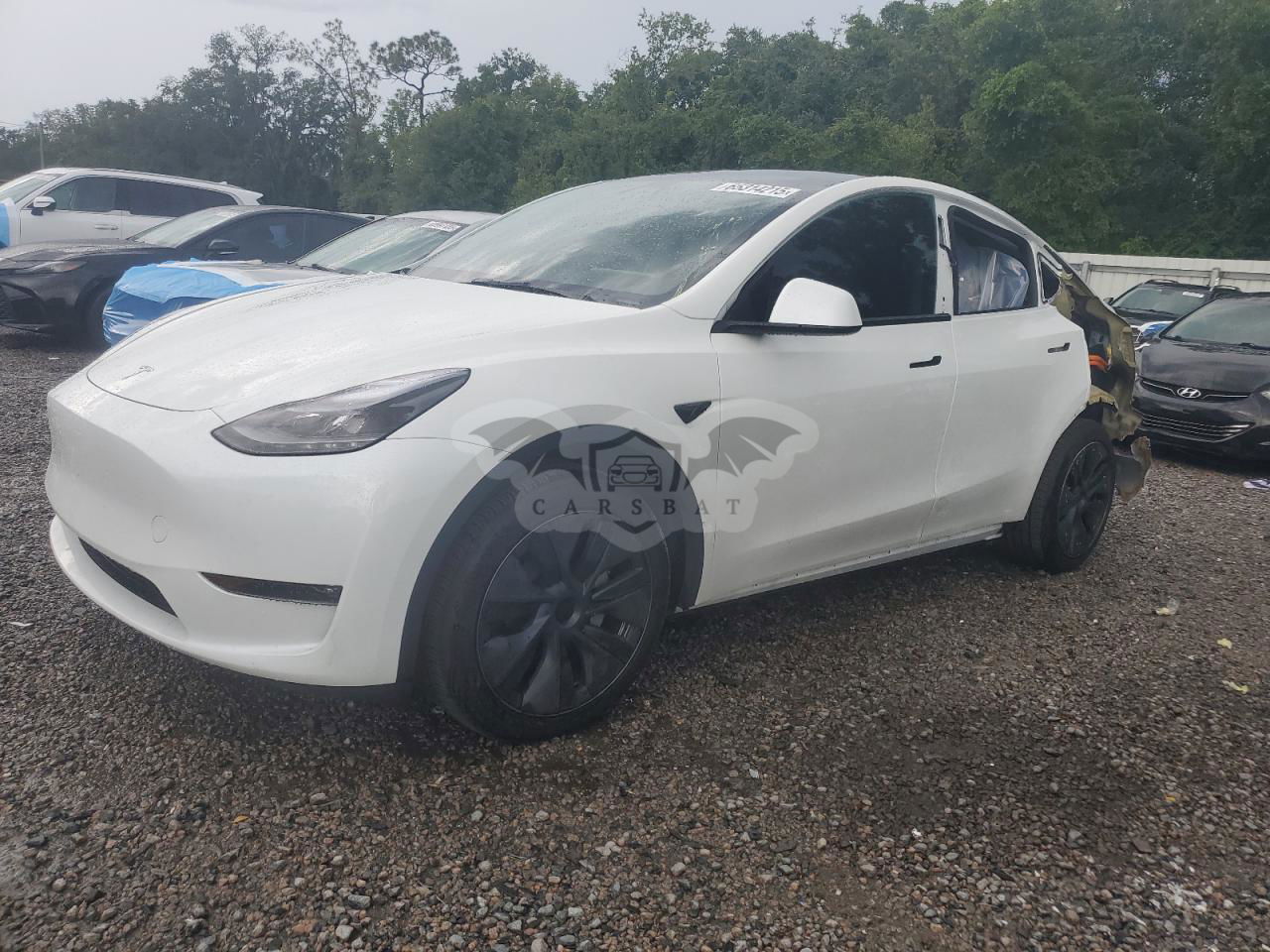 Tesla Model Y 2024