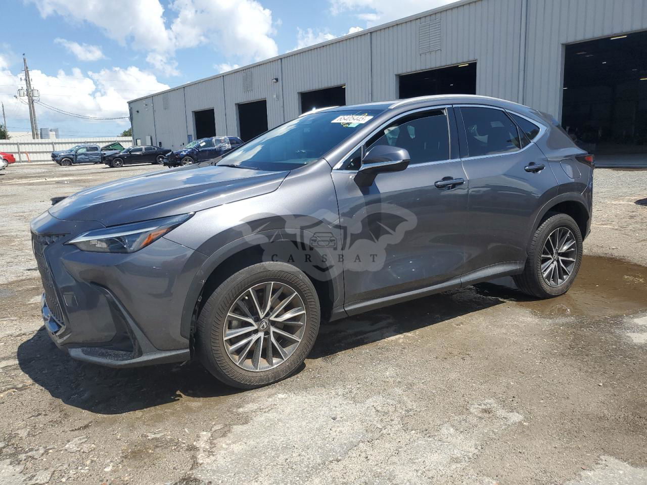 Lexus NX 250 2.5L  4 2023