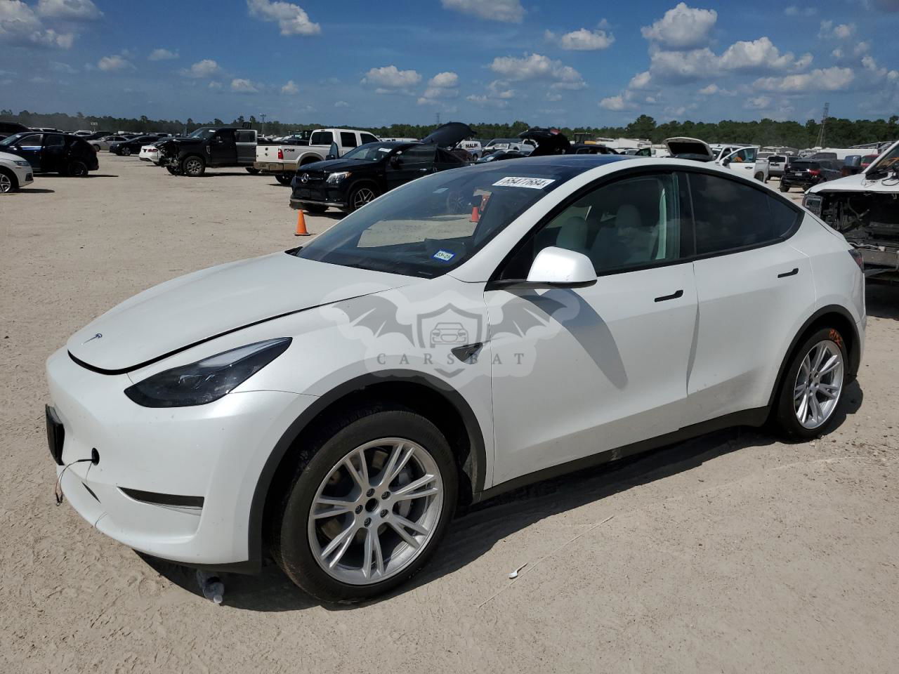 Tesla Model Y 2024