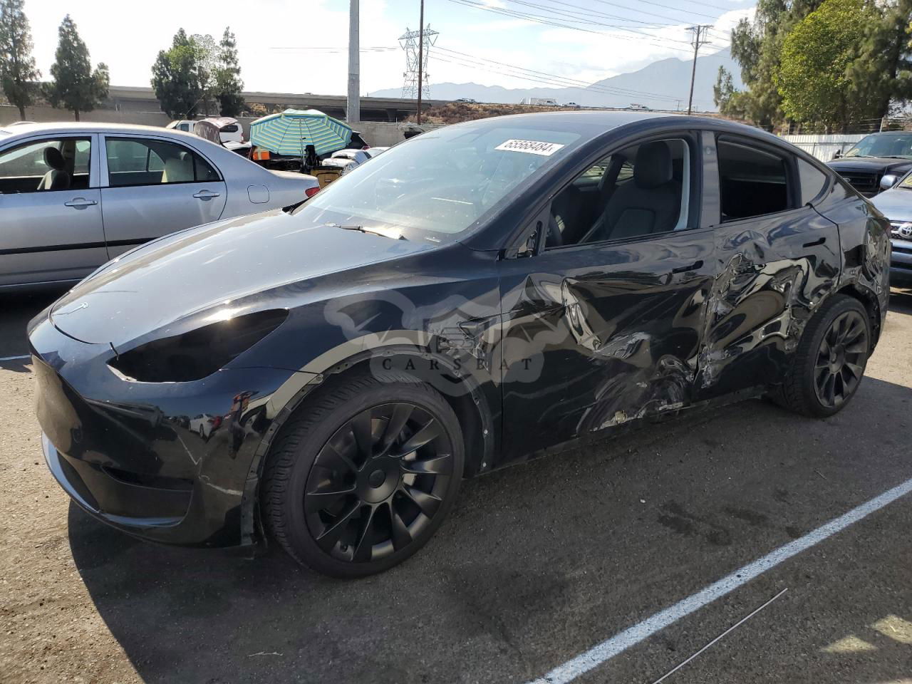 Tesla Model Y 2021