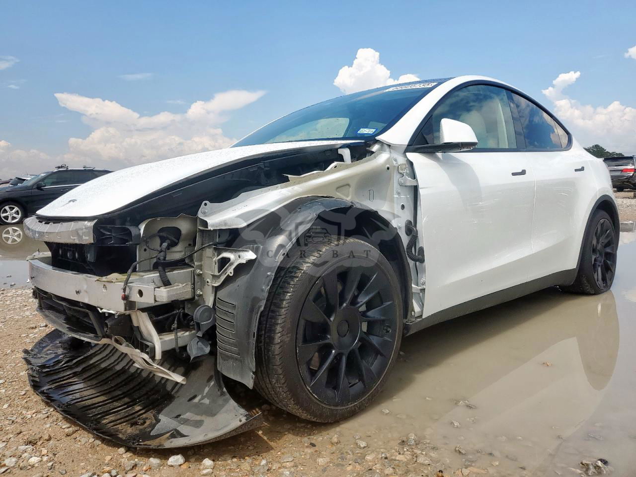 Tesla Model Y 2024