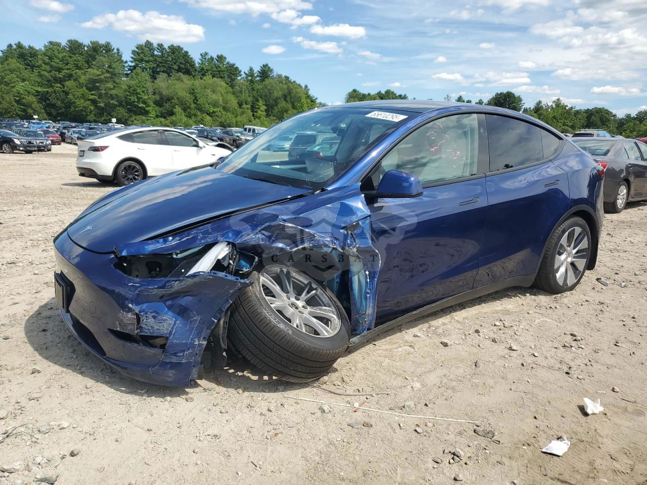 Tesla Model Y 2024