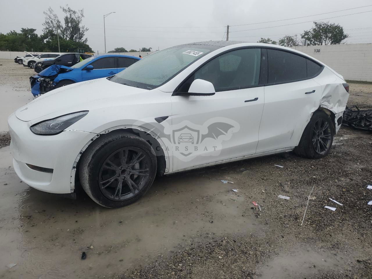 Tesla Model Y 2024